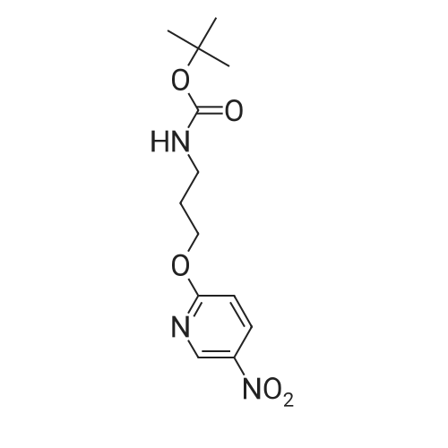 Tert Butyl Nitropyridin Yl Oxy Propyl Carbamate