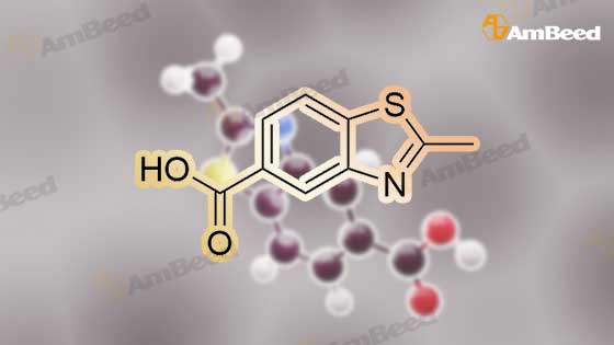 24851 69 2 2 Methylbenzo D Thiazole 5 Carboxylic Acid Ambeed