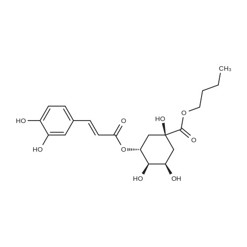 Chlorogenic acid butyl ester