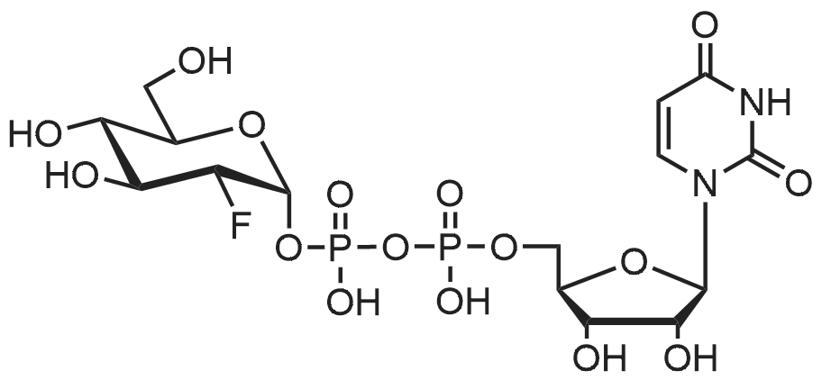 Uridine 5'-(trihydrogen diphosphate) P'-(2-deoxy-2-fluoro-α-D-glucopyranosyl) ester