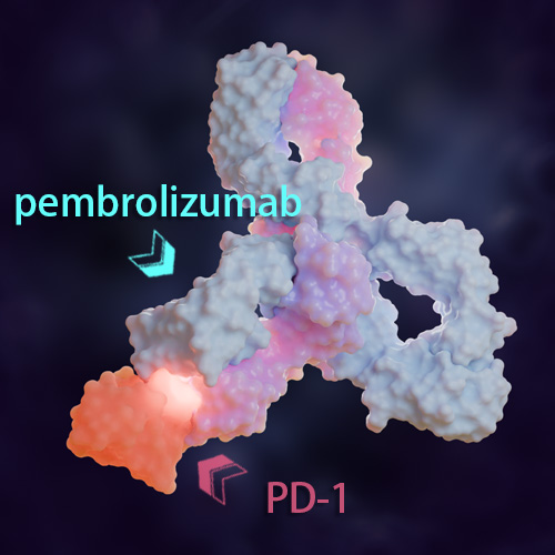 Pembrolizumab