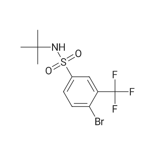 4-Bromo-N-(tert-butyl)-3-(trifluoromethyl)benzenesulfonamide