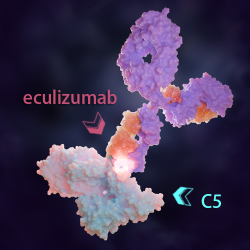 Eculizumab