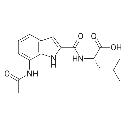 (S)-2-(7-Acetamido-1H-indole-2-carboxamido)-4-methylpentanoic acid