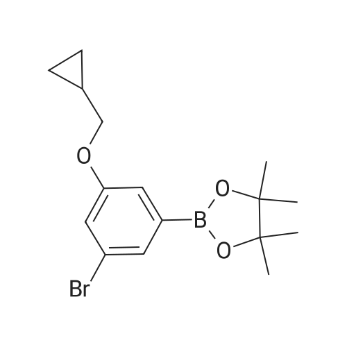 2-(3-Bromo-5-(cyclopropylmethoxy)phenyl)-4,4,5,5-tetramethyl-1,3,2-dioxaborolane