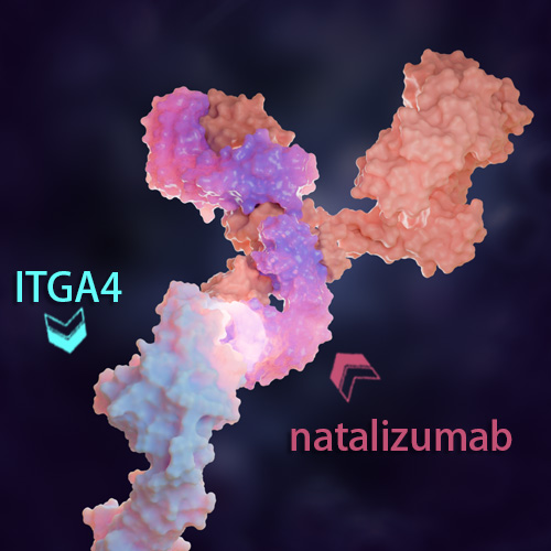 Natalizumab