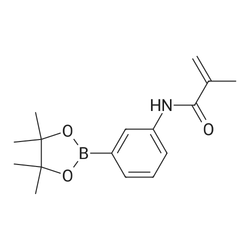 N-(3-(4,4,5,5-Tetramethyl-1,3,2-dioxaborolan-2-yl)phenyl)methacrylamide