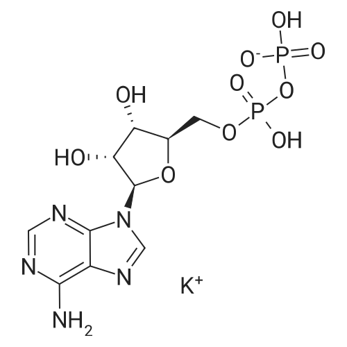 ((2R,3S,4R,5R)-5-(6-Amino-9H-purin-9-yl)-3,4-dihydroxytetrahydrofuran-2-yl)methyl trihydrogen diphosphate monopotassium salt