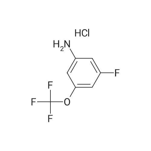 3-Fluoro-5-(trifluoromethoxy)aniline hydrochloride