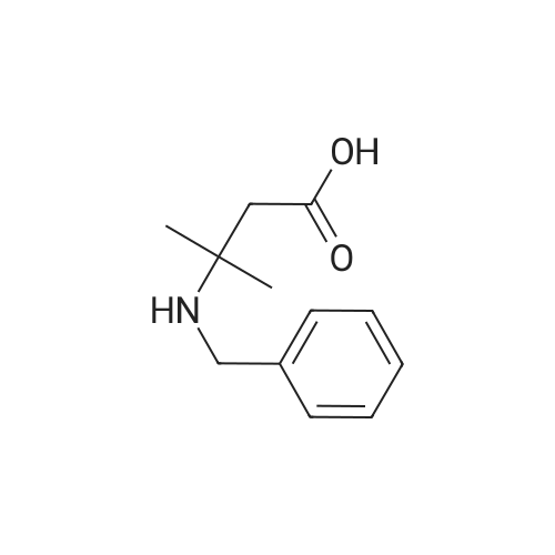 3-(Benzylamino)-3-methylbutanoic acid