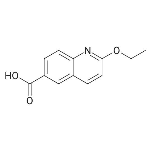 2-Ethoxyquinoline-6-carboxylic acid