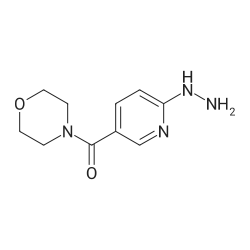 (6-Hydrazineylpyridin-3-yl)(morpholino)methanone