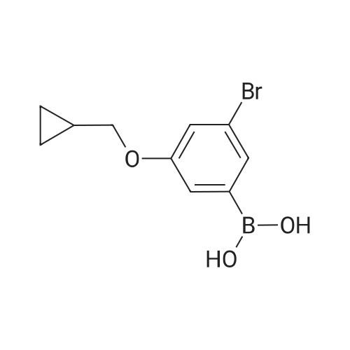 (3-Bromo-5-(cyclopropylmethoxy)phenyl)boronic acid