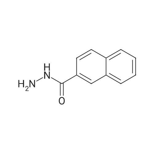 2-Naphthohydrazide