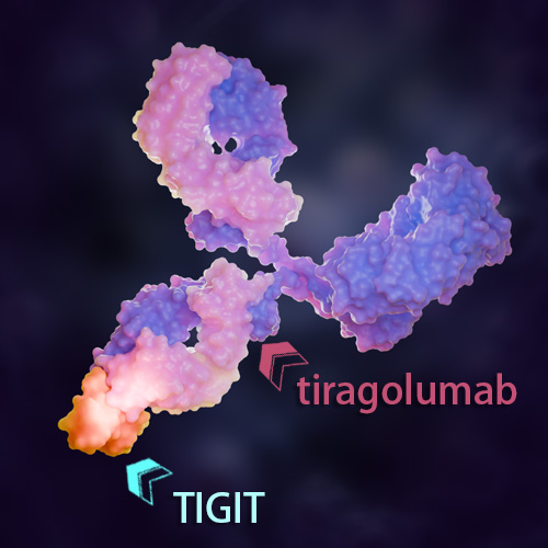 Tiragolumab