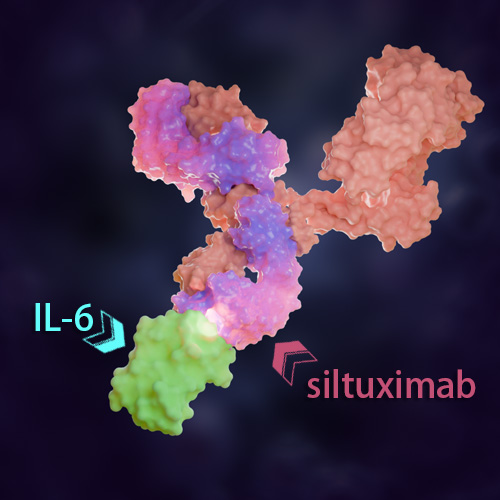 Siltuximab