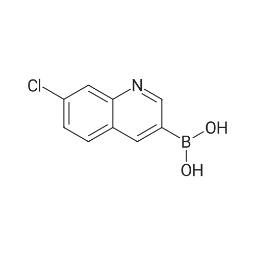 (7-Chloroquinolin-3-yl)boronic acid