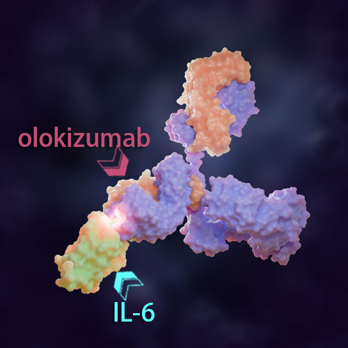 Olokizumab