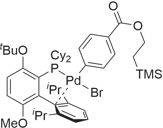 Chemical Structure| 2489525-81-5