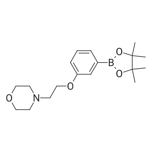 4-(2-(3-(4,4,5,5-Tetramethyl-1,3,2-dioxaborolan-2-yl)phenoxy)ethyl)morpholine
