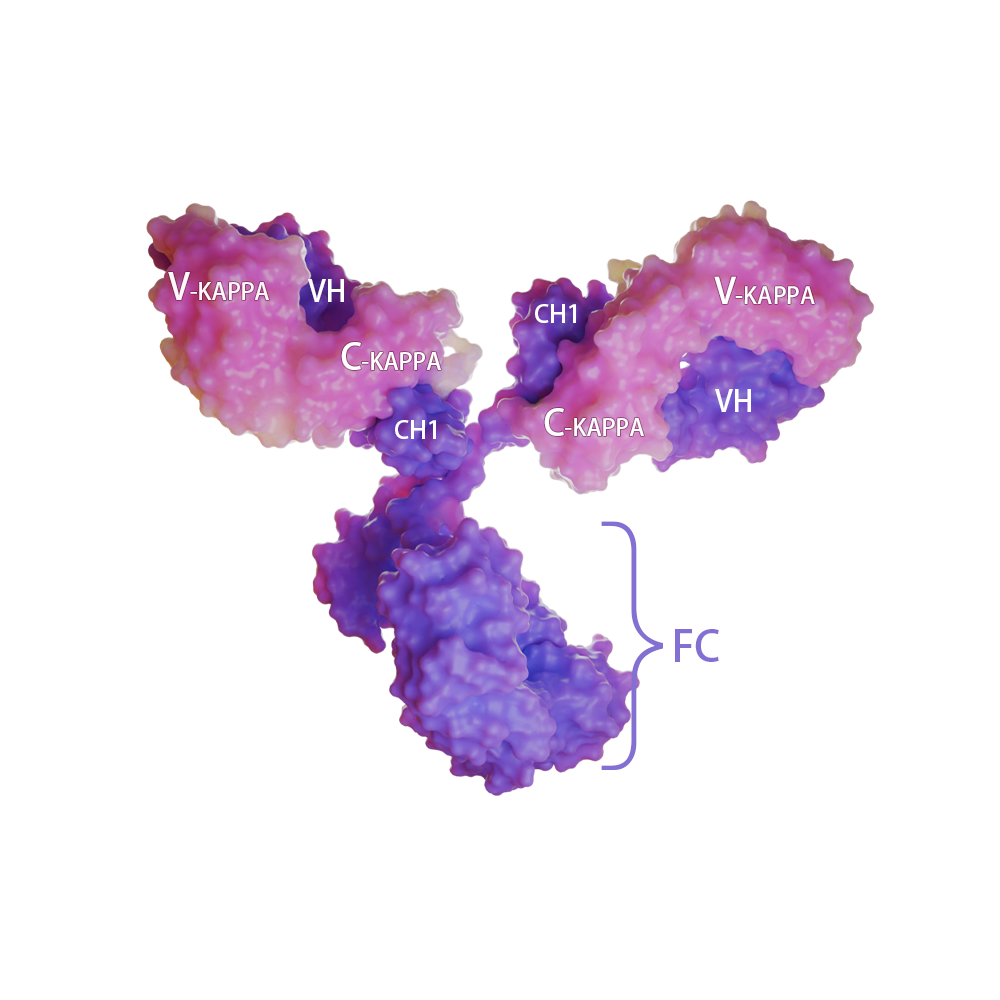 Mogamulizumab