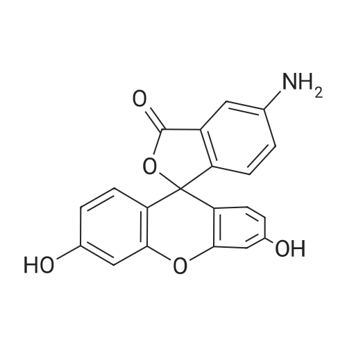 5-Amino-3',6'-dihydroxy-3H-spiro[isobenzofuran-1,9'-xanthen]-3-one