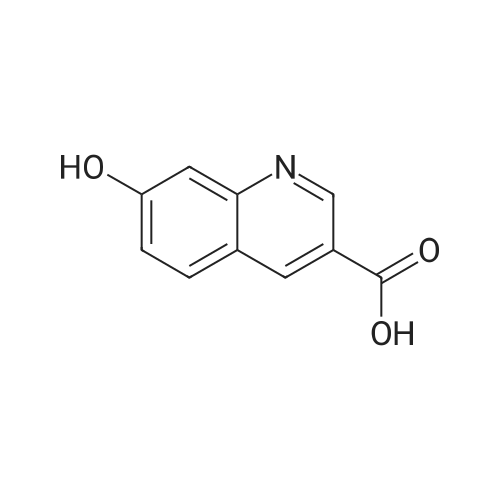 7-Hydroxyquinoline-3-carboxylic acid