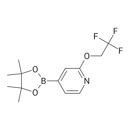 4-(4,4,5,5-Tetramethyl-1,3,2-dioxaborolan-2-yl)-2-(2,2,2-trifluoroethoxy)pyridine