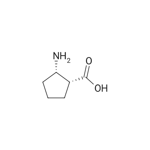 cis-2-Amino-1-cyclopentanecarboxylic acid