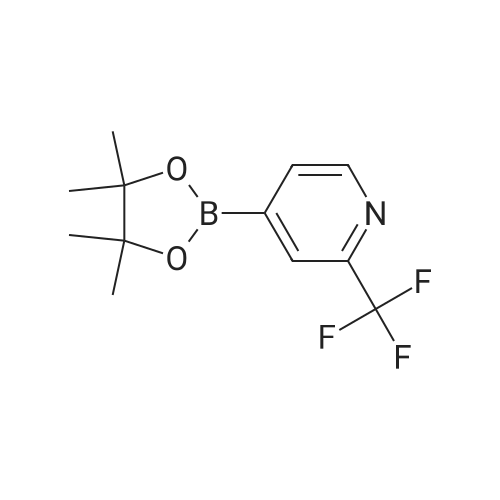 4-(4,4,5,5-Tetramethyl-1,3,2-dioxaborolan-2-yl)-2-(trifluoromethyl)pyridine