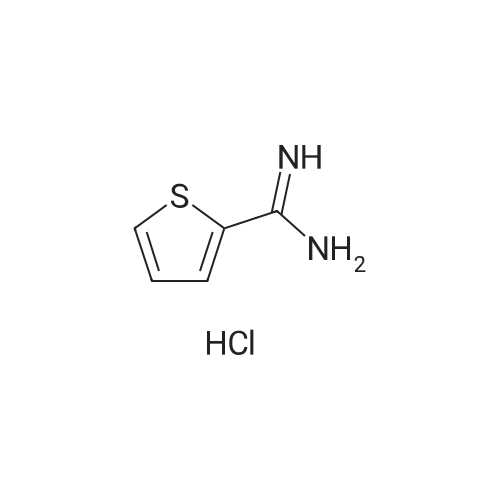 2-Amidinothiophene hydrochloride
