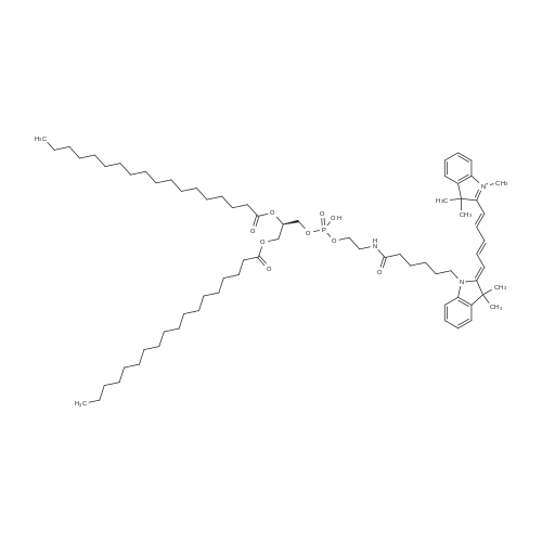 Cy5-DSPE