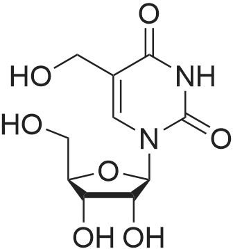 5-Hydroxymethyl uridine