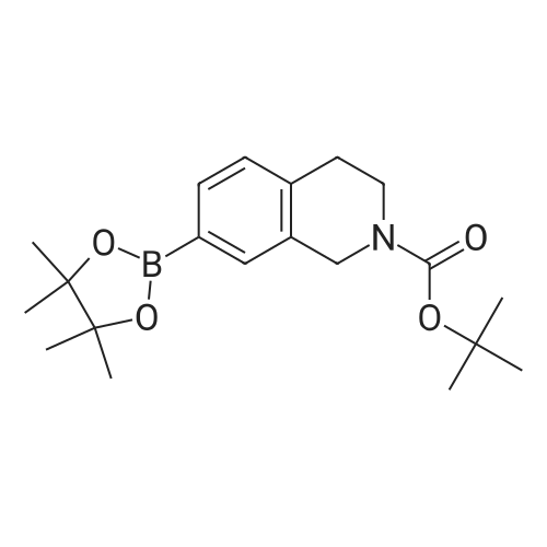 tert-Butyl 7-(4,4,5,5-tetramethyl-1,3,2-dioxaborolan-2-yl)-3,4-dihydroisoquinoline-2(1H)-carboxylate