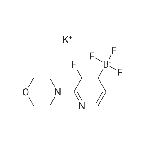 Potassium trifluoro(3-fluoro-2-morpholinopyridin-4-yl)borate