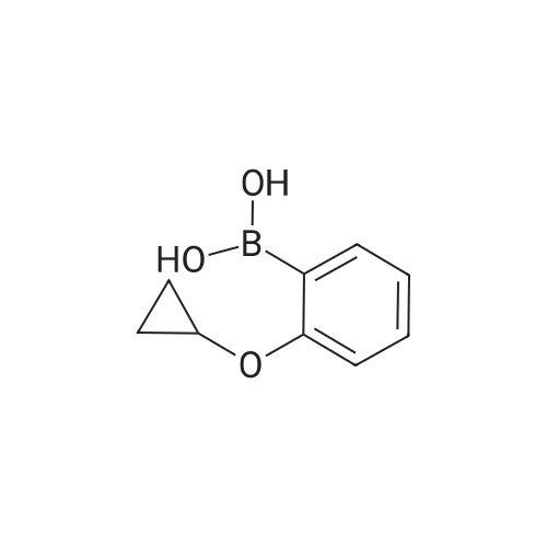 (2-Cyclopropoxyphenyl)boronic acid