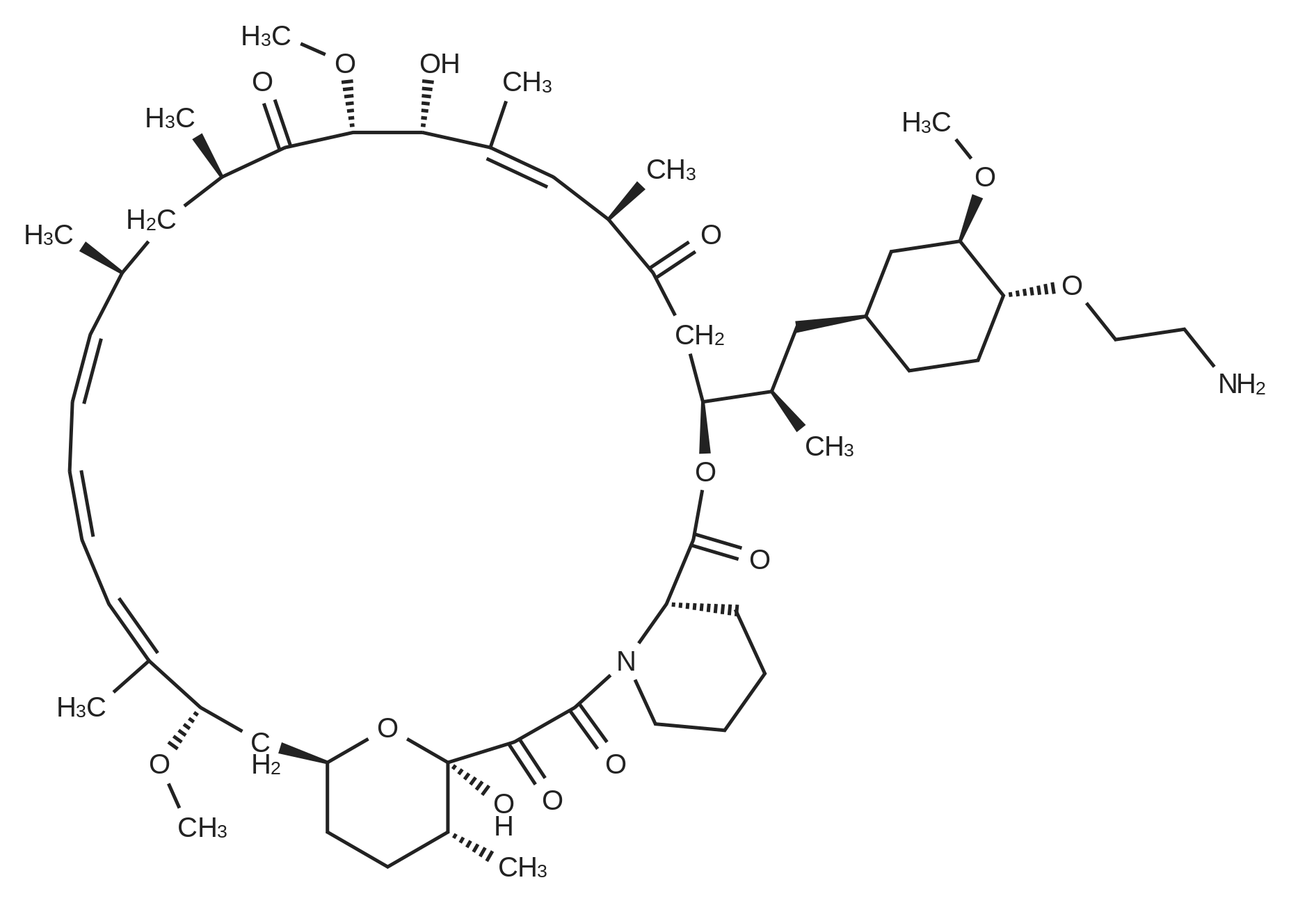 m CAS:159351-98-142-O-(2-Aminoethyl)rapamycin|Ambeed.com