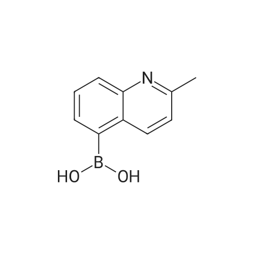 (2-Methylquinolin-5-yl)boronic acid