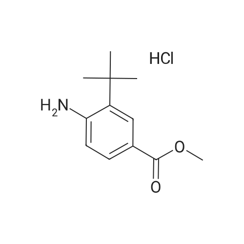 Methyl 4-amino-3-(tert-butyl)benzoate hydrochloride