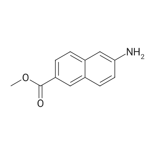 Methyl 6-amino-2-naphthoate
