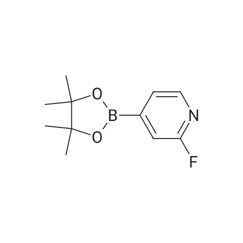 2-Fluoro-4-(4,4,5,5-tetramethyl-1,3,2-dioxaborolan-2-yl)pyridine