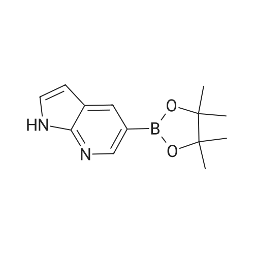7-Azaindole-5-boronic Acid Pinacol Ester