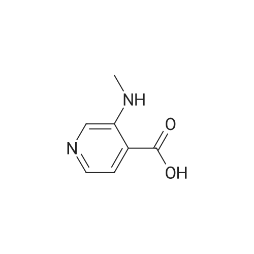 3-(Methylamino)isonicotinic Acid