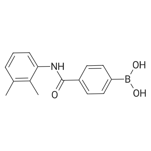 4-(2,3-Dimethylphenylcarbamoyl)phenylboronic acid