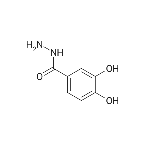 3,4-Dihydroxybenzohydrazide