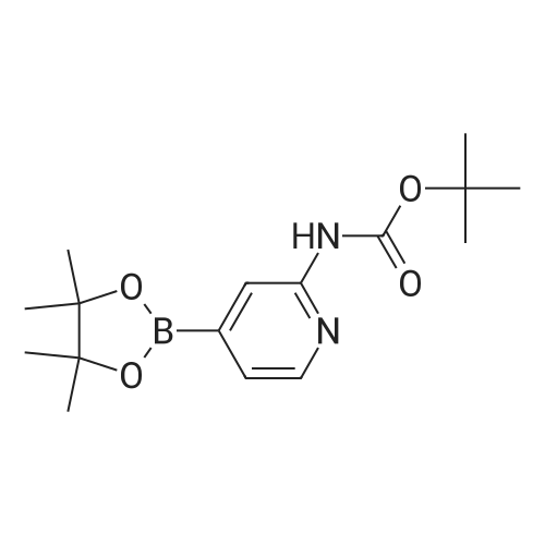 tert-Butyl (4-(4,4,5,5-tetramethyl-1,3,2-dioxaborolan-2-yl)pyridin-2-yl)carbamate