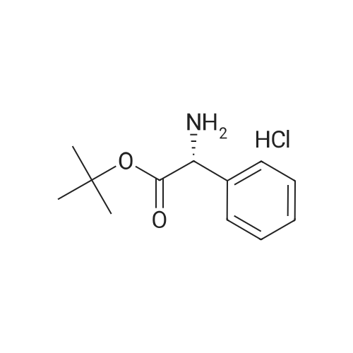 256478-95-2|(R)-tert-Butyl 2-amino-2-phenylacetate hydrochloride|97%