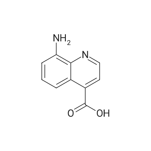 8-Aminoquinoline-4-carboxylic acid