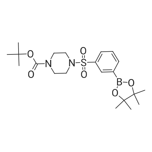 tert-Butyl 4-((3-(4,4,5,5-tetramethyl-1,3,2-dioxaborolan-2-yl)phenyl)sulfonyl)piperazine-1-carboxylate
