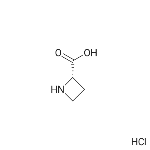 (S)-Azetidine-2-carboxylic acid hydrochloride